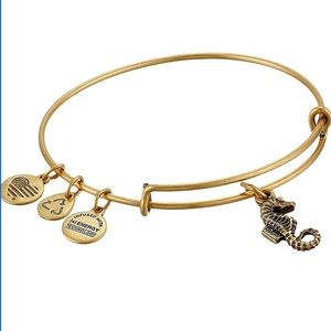 Alex and Ani Seahorse Bracelet
